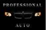 Logo Professional auto