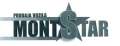 Logo MONT STAR