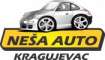 Logo Neša Auto doo