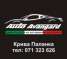 Logo AUTO AVANGARDE MIKI
