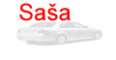 Logo Sasa Jevtić
